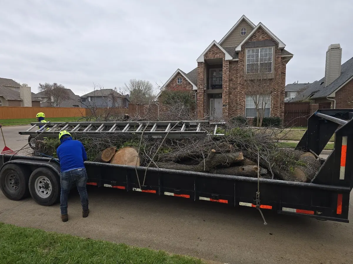Expert Tree Fertilization with proper safety equipment in Pixley